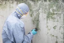 Mold Remediation for Vacation Homes in Moyock, NC